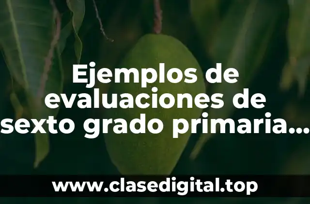 Ejemplos de evaluaciones de sexto grado primaria de ciencias naturales