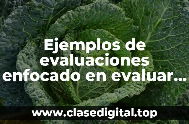 Ejemplos de evaluaciones enfocado en evaluar los objetivos