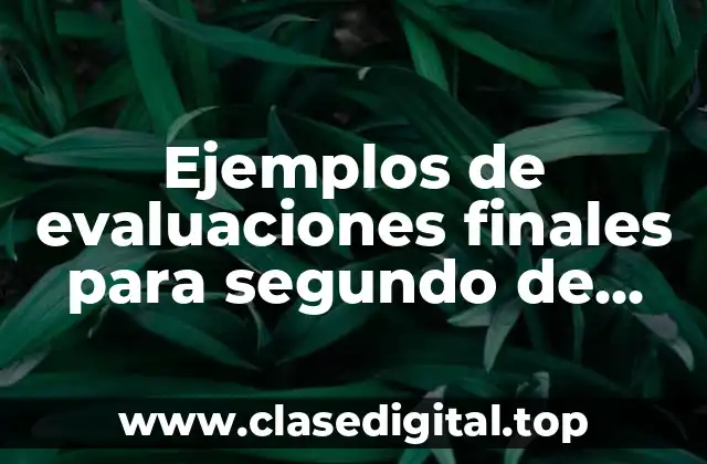 Ejemplos de evaluaciones finales para segundo de preescolar