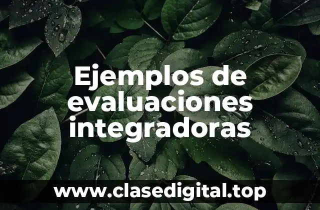 Ejemplos de evaluaciones integradoras