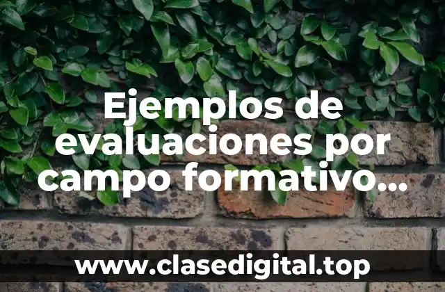 Ejemplos de evaluaciones por campo formativo para preescolar