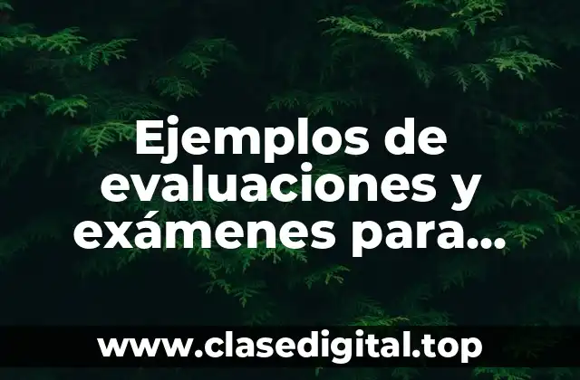 Ejemplos de evaluaciones y exámenes para medicina basada en evidencias