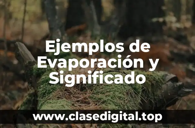 Ejemplos de evaporación