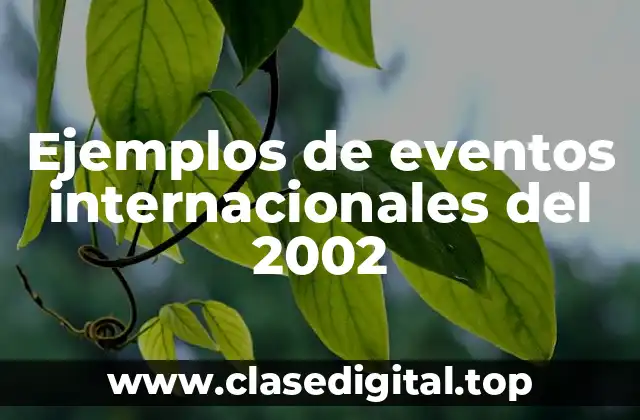 Ejemplos de eventos internacionales del 2002