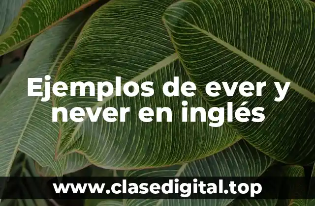 Ejemplos de ever y never en inglés
