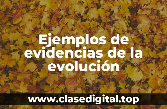 Ejemplos de evidencias de la evolución
