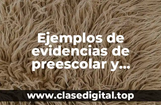 Ejemplos de evidencias de preescolar