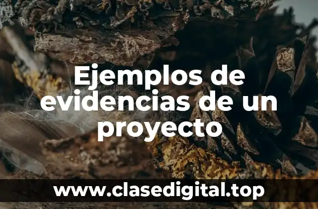 Ejemplos de evidencias de un proyecto