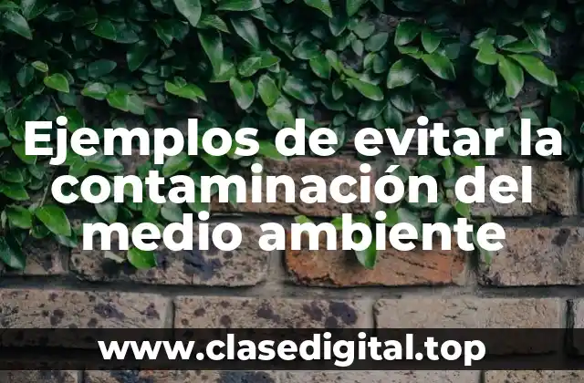 Ejemplos de evitar la contaminación del medio ambiente