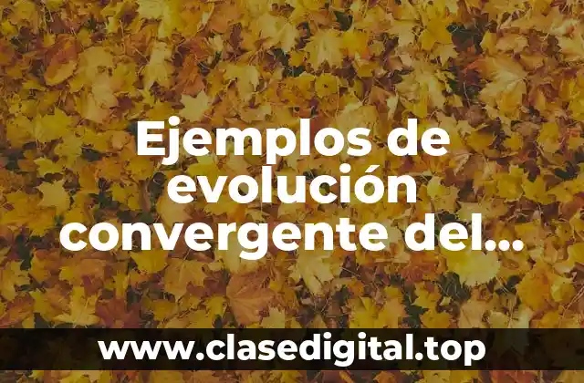 Ejemplos de evolución convergente del capitalismo y el comunsimo y Significado
