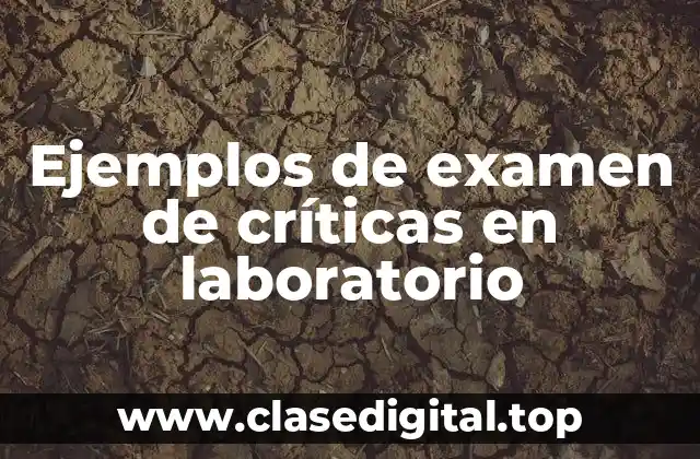 Ejemplos de examen de críticas en laboratorio