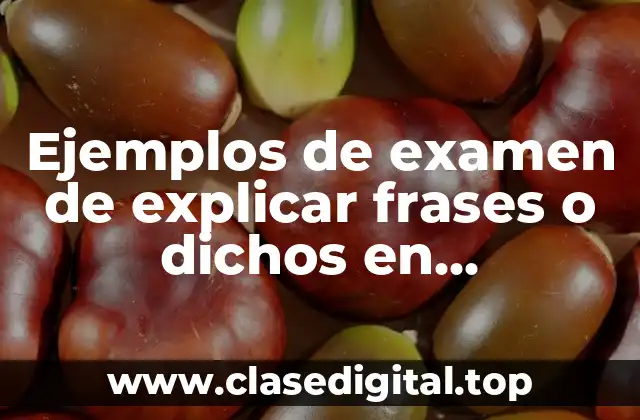 Ejemplos de examen de explicar frases o dichos en informáticas