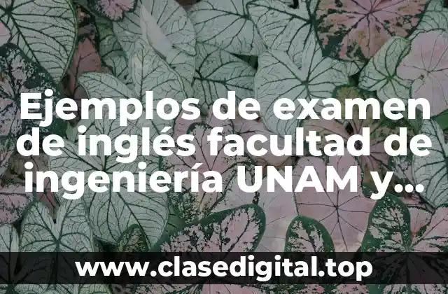 Ejemplos de examen de inglés facultad de ingeniería UNAM y Significado