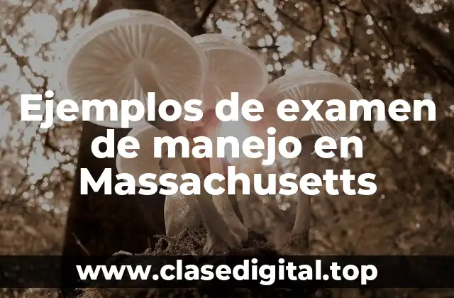 Ejemplos de examen de manejo en Massachusetts