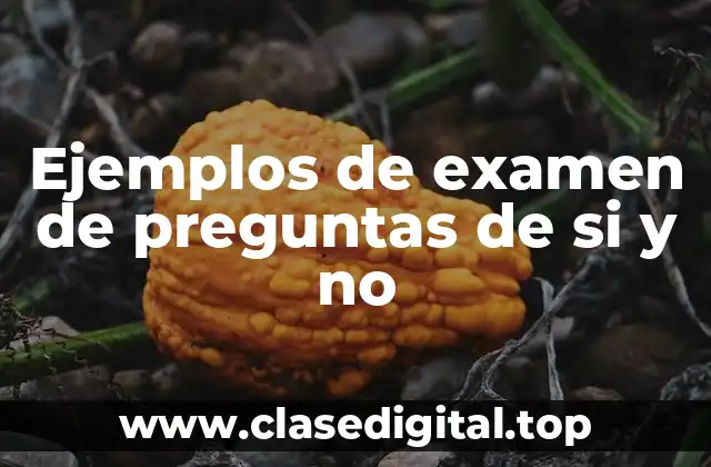 Ejemplos de examen de preguntas de si y no