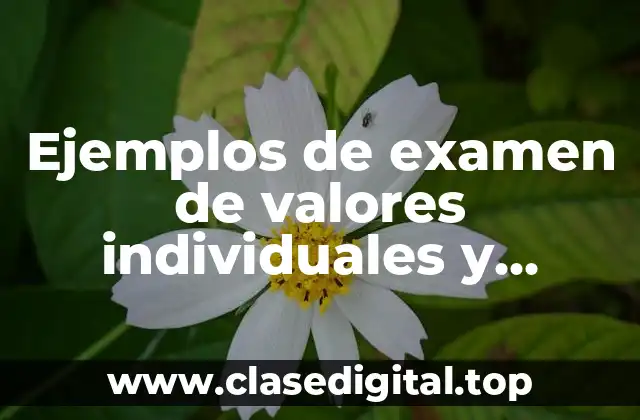 Ejemplos de examen de valores individuales y colectivos
