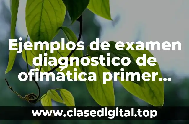 Ejemplos de examen diagnostico de ofimática primer grado secundaria y Significado