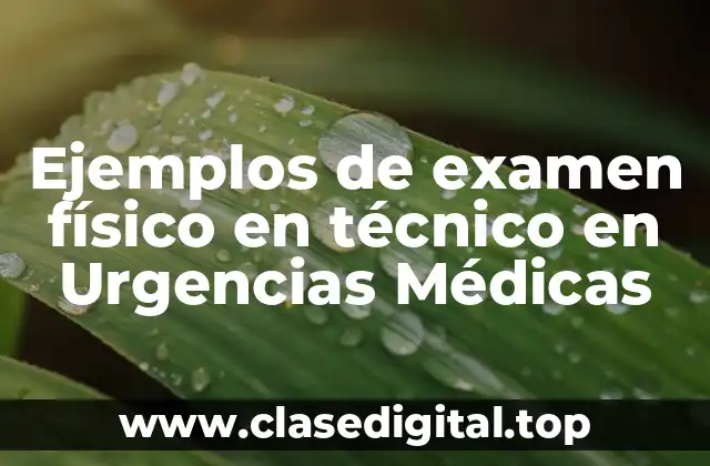 Ejemplos de examen físico en técnico en Urgencias Médicas