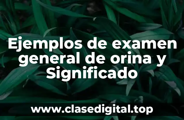 Ejemplos de examen general de orina y Significado