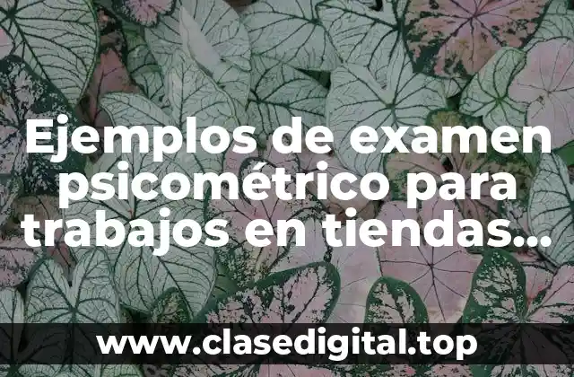 Ejemplos de examen psicométrico para trabajos en tiendas de departamentos
