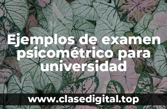 Ejemplos de examen psicométrico para universidad