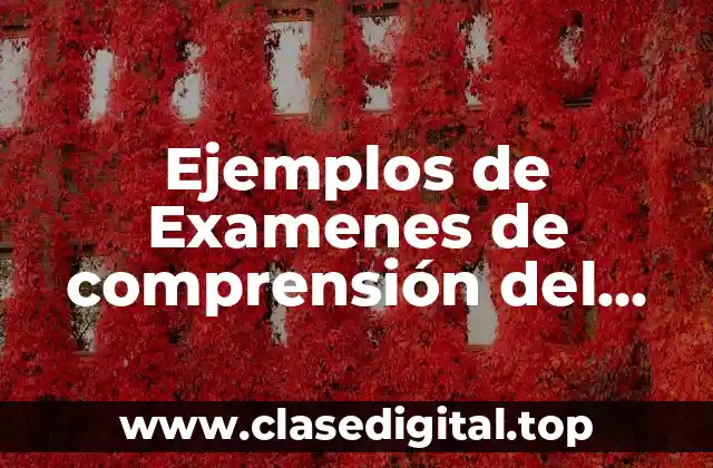 Ejemplos de Examenes de comprensión del TEA de respiración