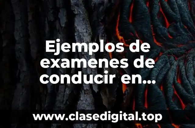 Ejemplos de examenes de conducir en Michigan