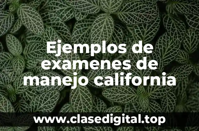 Ejemplos de examenes de manejo california