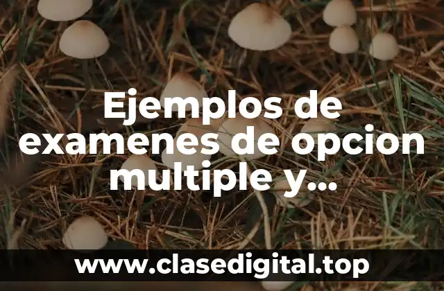 Ejemplos de examenes de opcion multiple y Significado