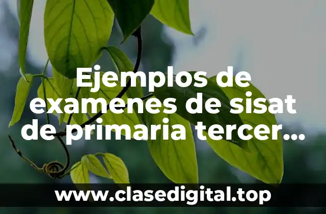 Ejemplos de examenes de sisat de primaria tercer grado