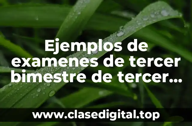 Ejemplos de examenes de tercer bimestre de tercer grado