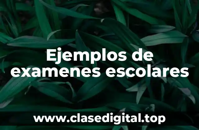 Ejemplos de examenes escolares