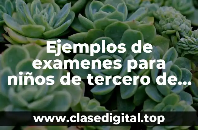 Ejemplos de examenes para niños de tercero de preescolar