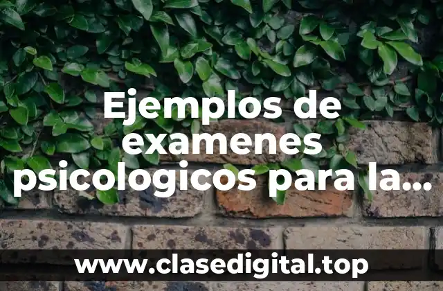 Ejemplos de examenes psicologicos para la policia