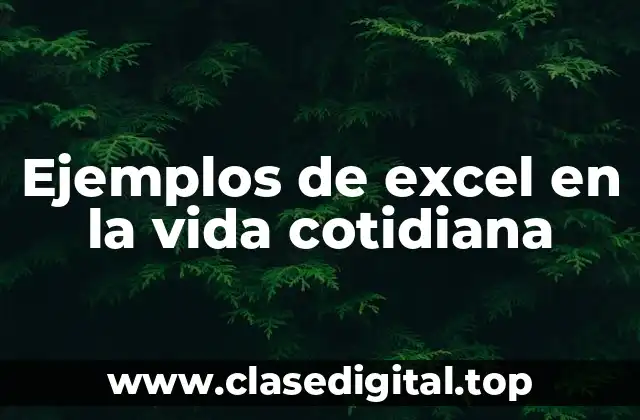 Ejemplos de excel en la vida cotidiana