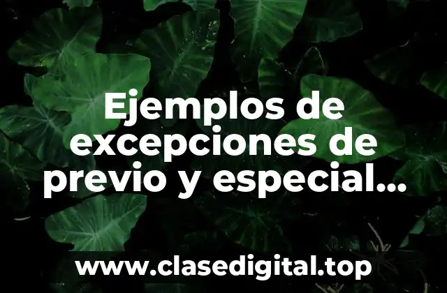 Ejemplos de excepciones de previo y especial pronunciamiento en México