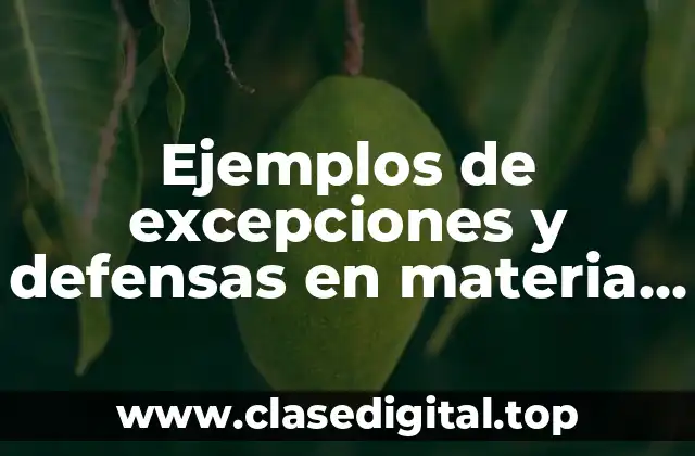 Ejemplos de excepciones y defensas en materia mercantil