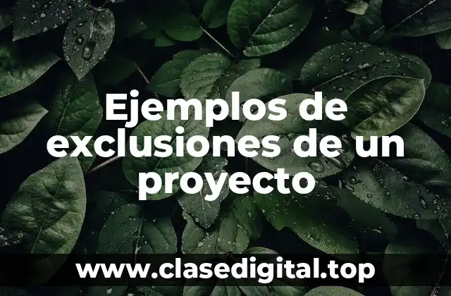 Ejemplos de exclusiones de un proyecto