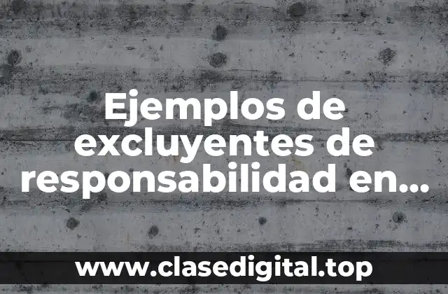 Ejemplos de excluyentes de responsabilidad en derecho internacional público