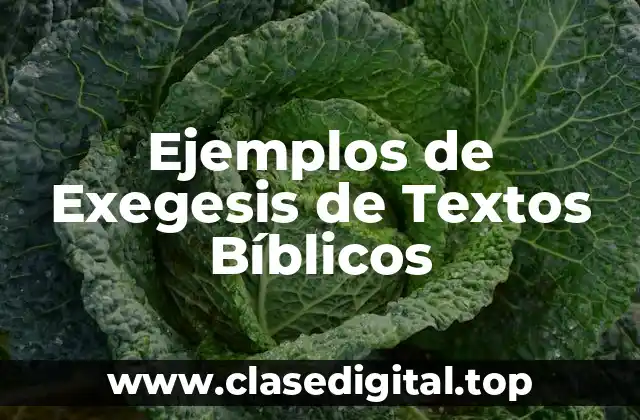 Ejemplos de Exegesis de Textos Bíblicos