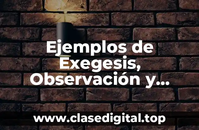 Ejemplos de Exegesis, Observación y Interpretación