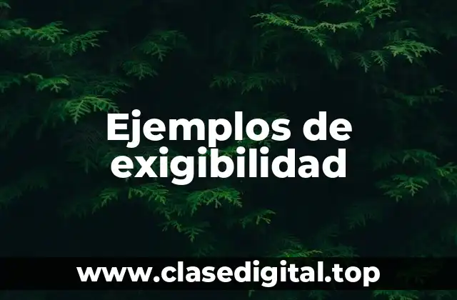 Ejemplos de exigibilidad