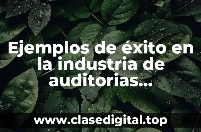 Ejemplos de éxito en la industria de auditorias ambientales