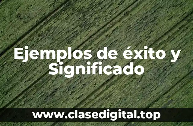 Ejemplos de éxito y Significado