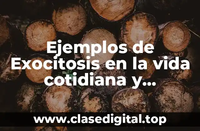 Ejemplos de Exocitosis en la vida cotidiana y Significado