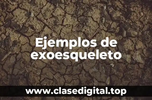 Ejemplos de exoesqueleto