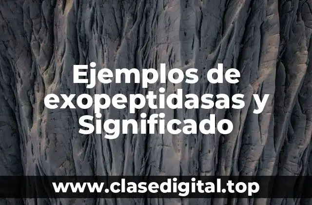 Ejemplos de exopeptidasas y Significado