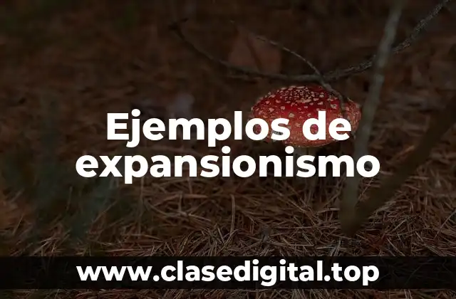 Ejemplos de expansionismo