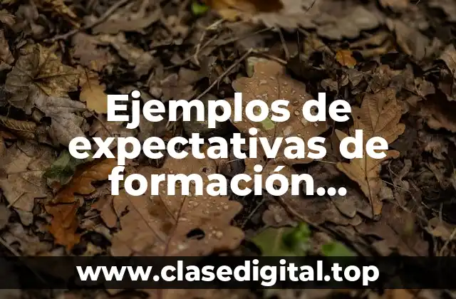 Ejemplos de expectativas de formación profesional