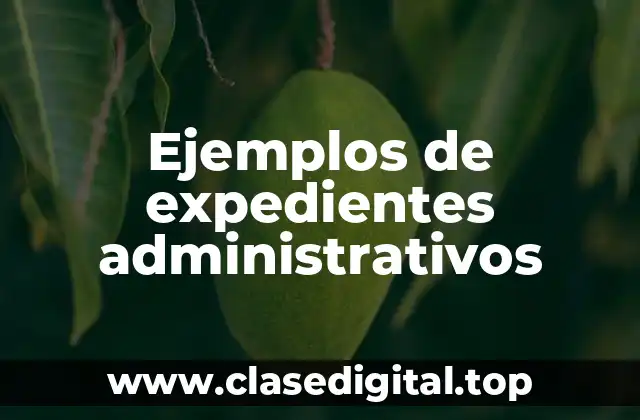 Ejemplos de expedientes administrativos